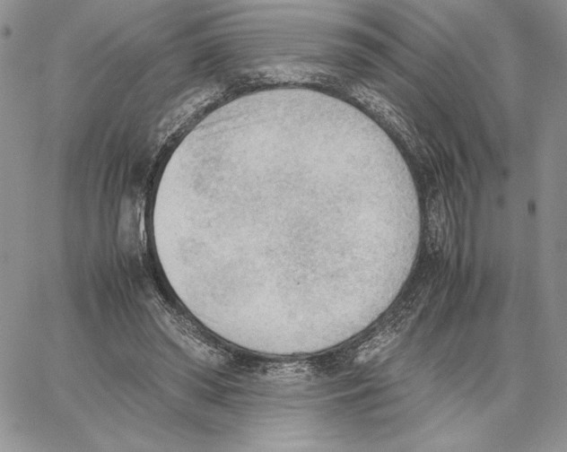 X0000062870398200602031722