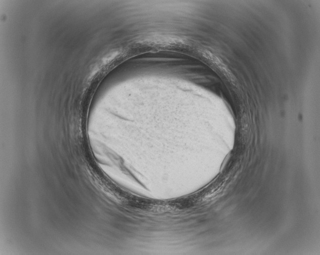 X0000062870399200602031722