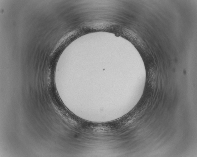 X0000062870400200602031722