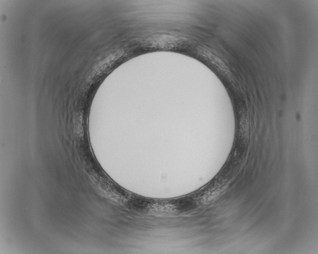 X0000062870403200602031722