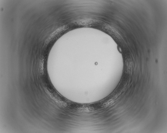 X0000062870404200602031722