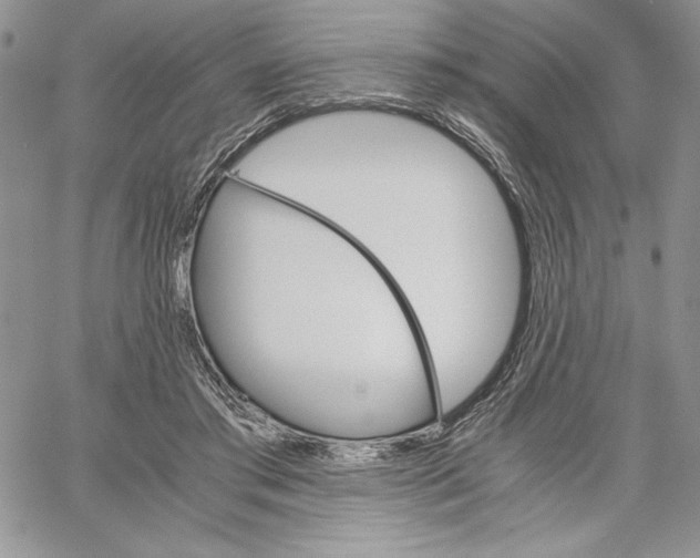 X0000062870405200602031722