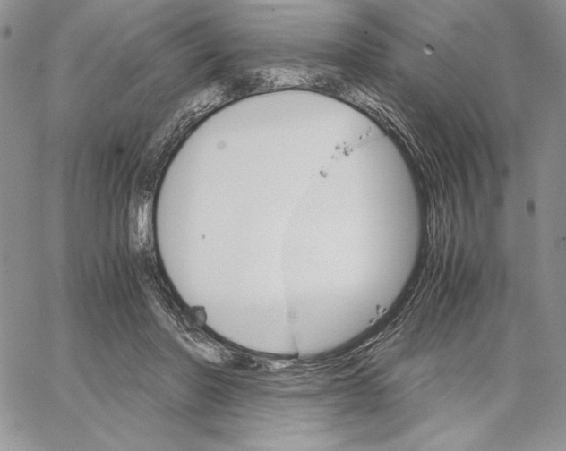 X0000062870406200602031722