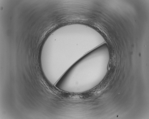 X0000062870407200602031722