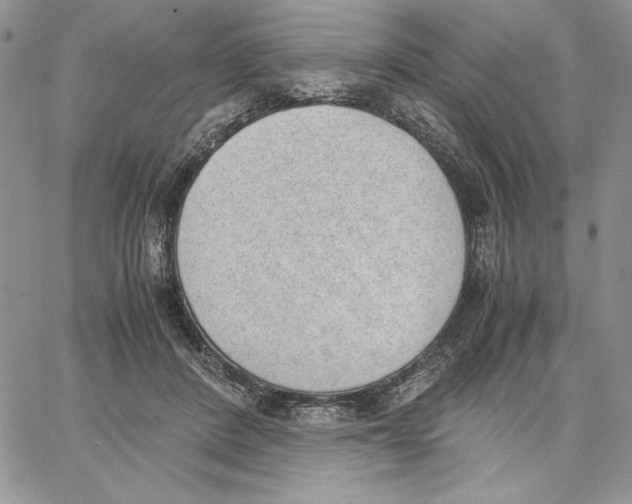 X0000062870408200602031722