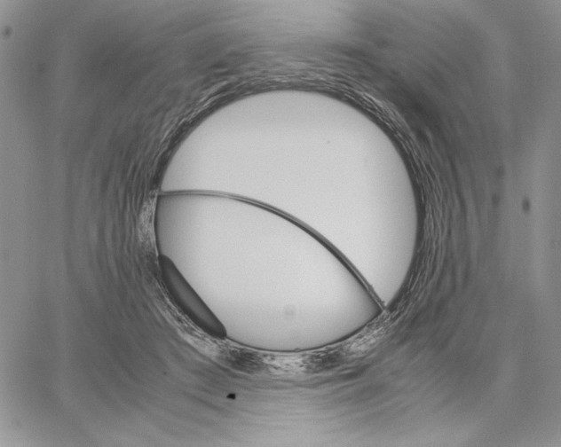 X0000062870409200602031722