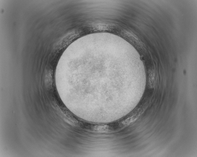 X0000062870410200602031722