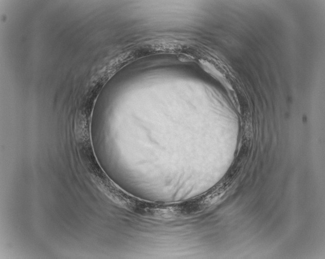 X0000062870411200602031722