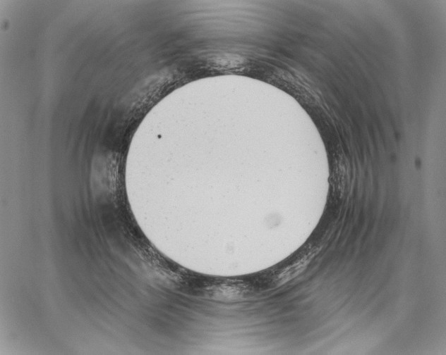 X0000062870412200602031722