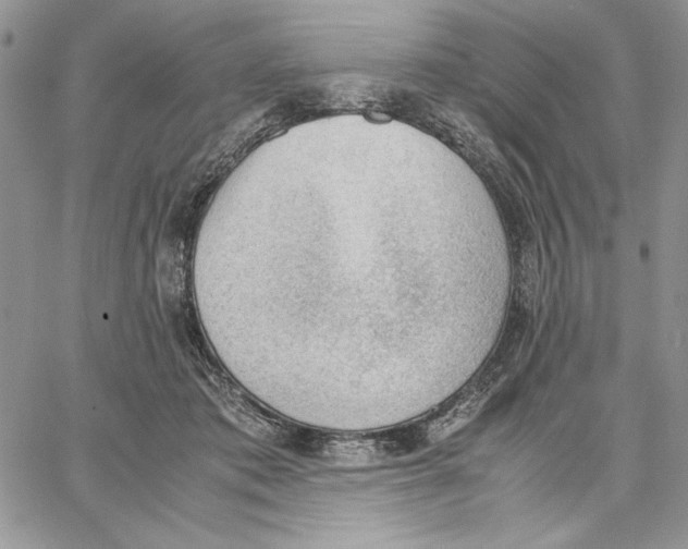 X0000062870413200602031722