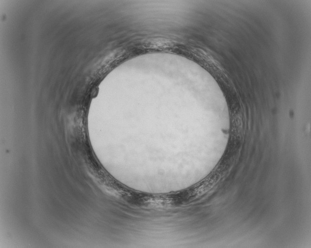 X0000062870415200602031721