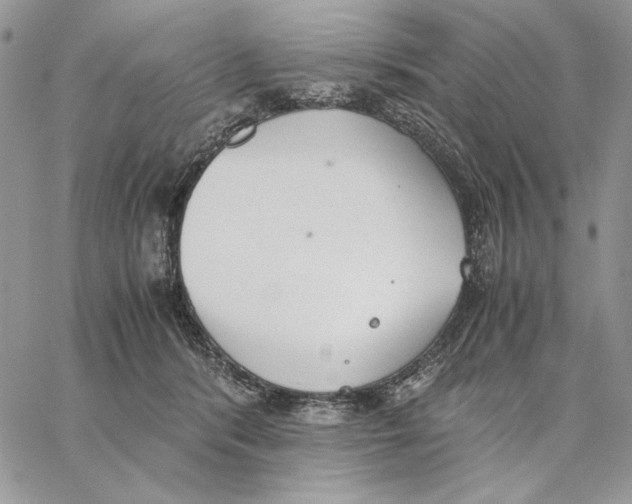 X0000062870416200602031721