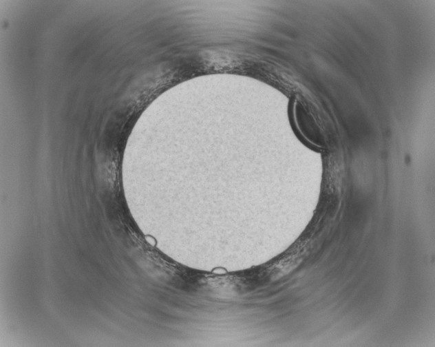 X0000062870417200602031721