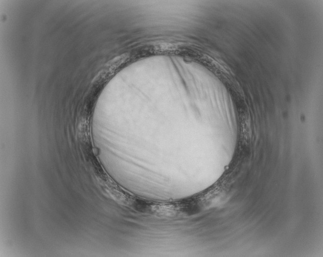 X0000062870419200602031721