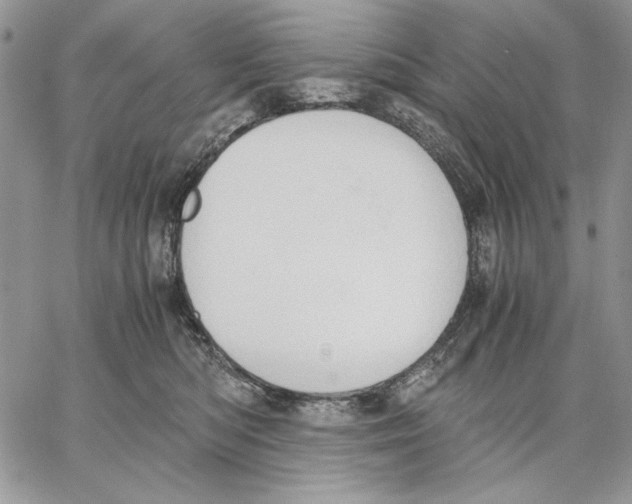 X0000062870422200602031721