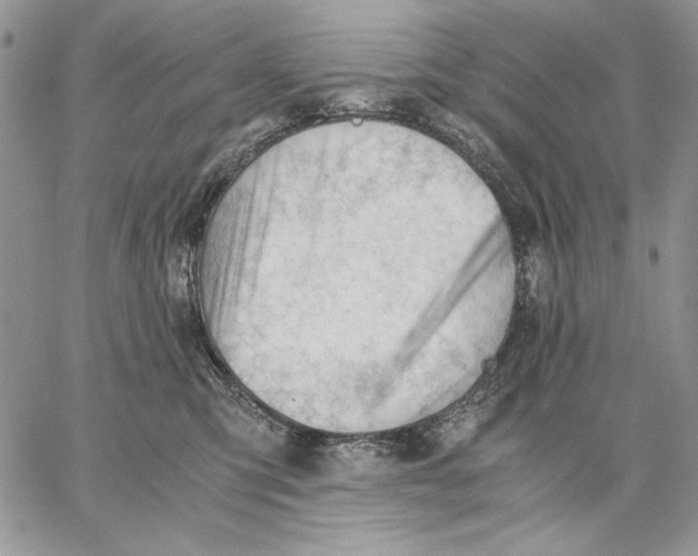 X0000062870423200602031721