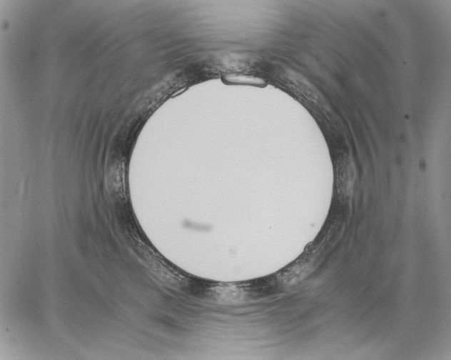 X0000062870425200602031721