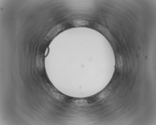 X0000062870426200602031721