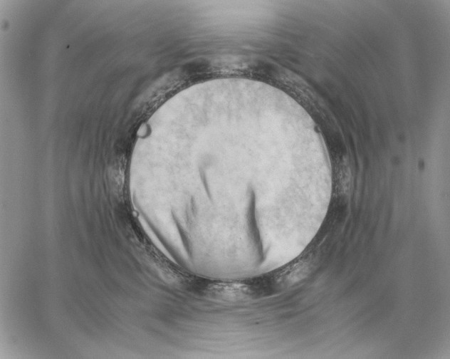 X0000062870427200602031721