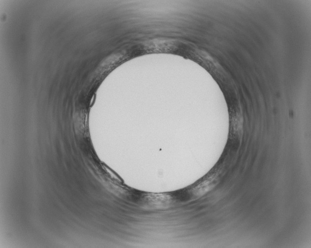 X0000062870429200602031721