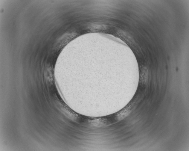 X0000062870430200602031721