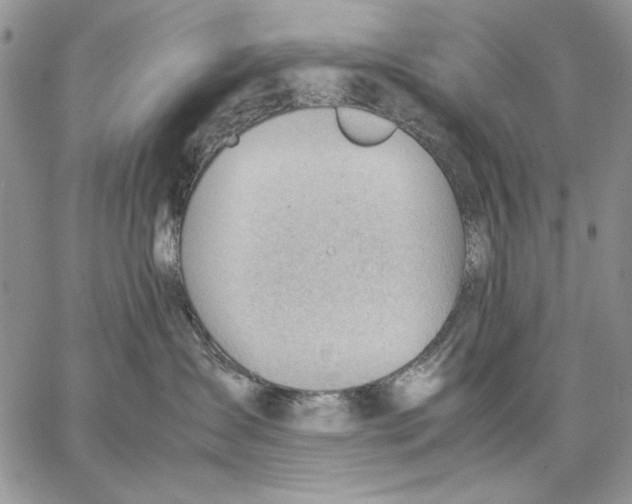 X0000062870431200602031721