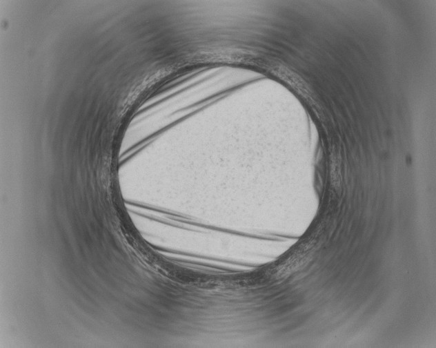 X0000062870434200602031720