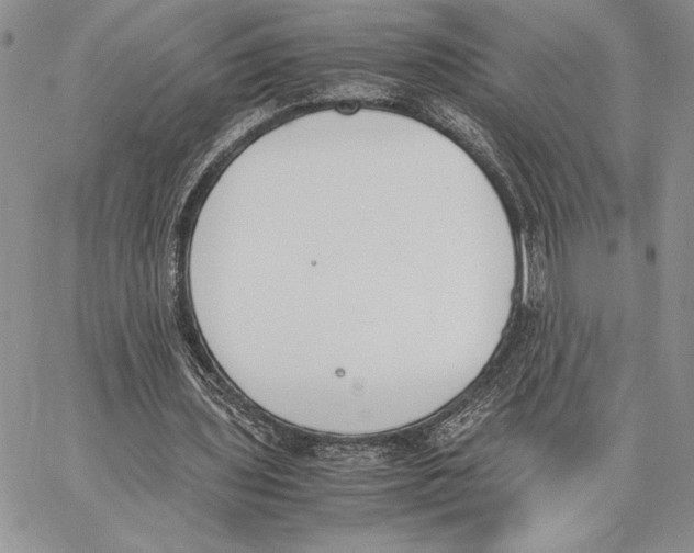 X0000062870435200602031720