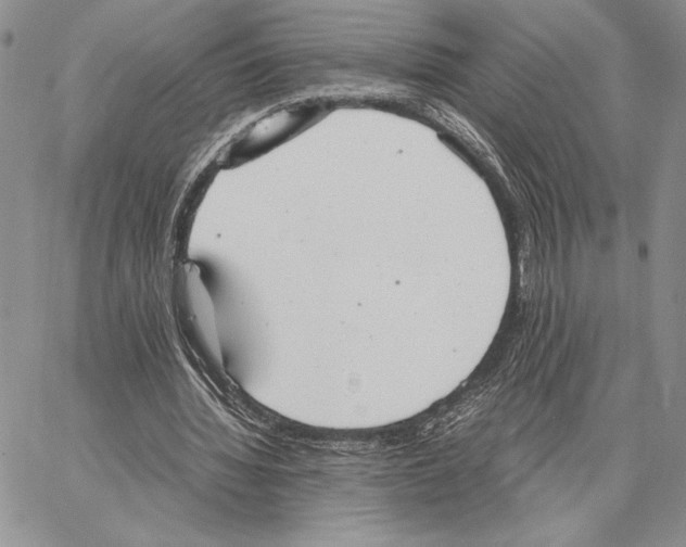 X0000062870436200602031720