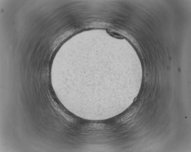 X0000062870437200602031720