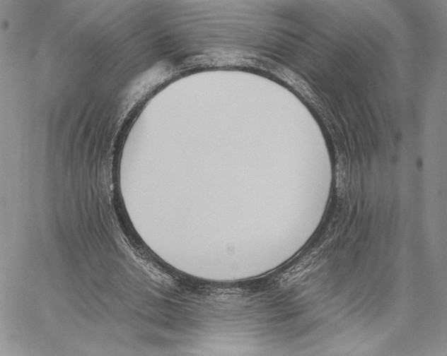 X0000062870438200602031721