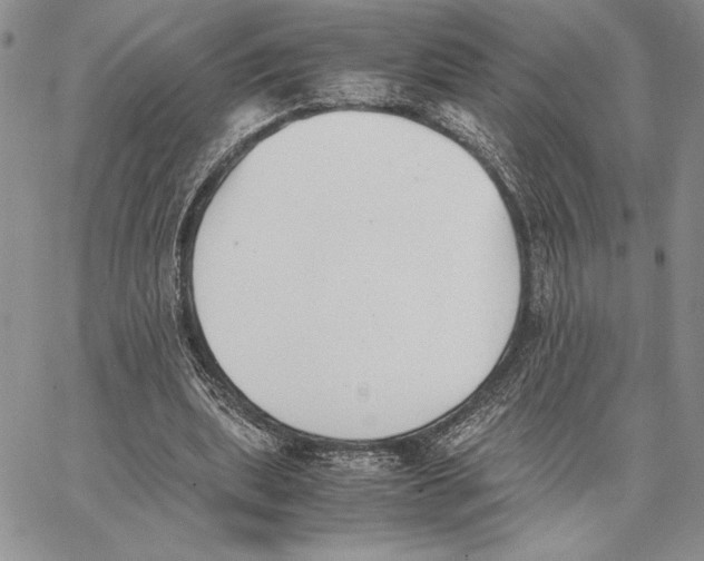 X0000062870439200602031721