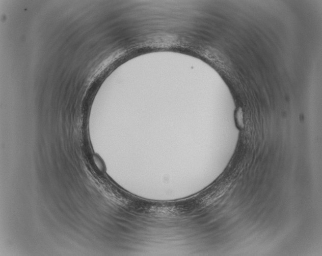 X0000062870440200602031721