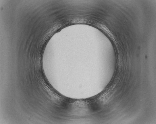 X0000062870441200602031721