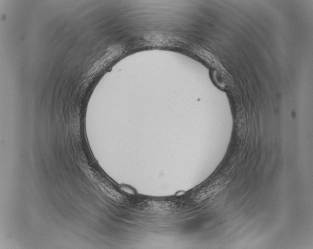 X0000062870442200602031721