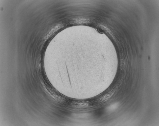 X0000062870443200602031721