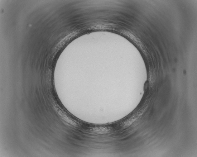 X0000062870445200602031721