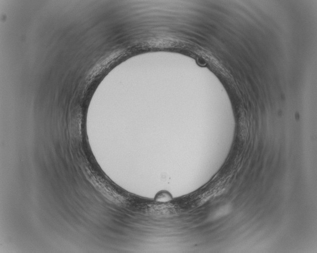 X0000062870446200602031721