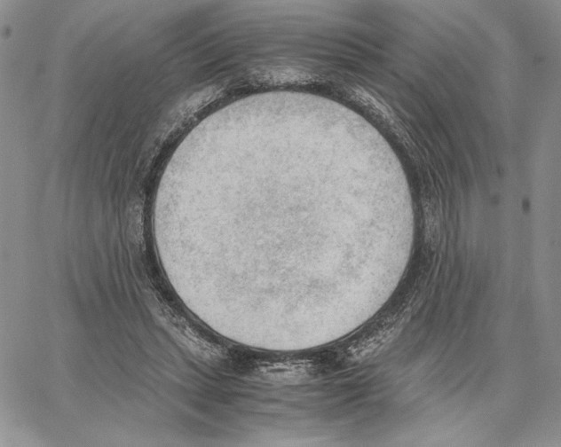 X0000062870447200602031721