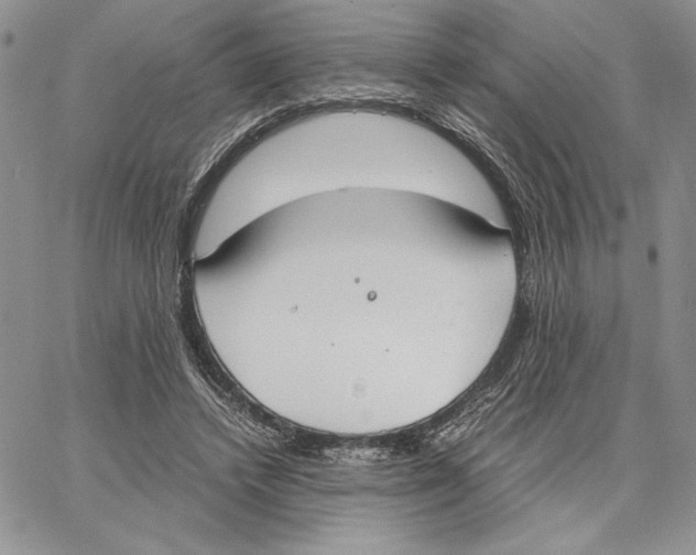 X0000062870448200602031721