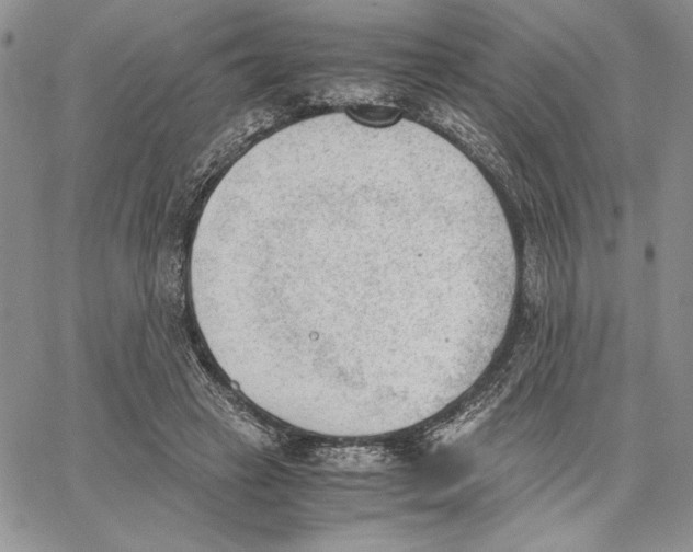 X0000062870449200602031721