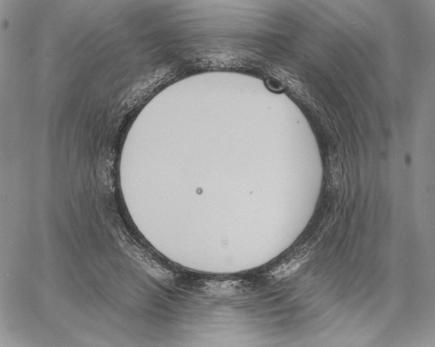 X0000062870450200602031721