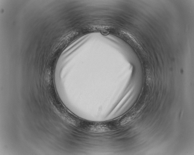 X0000062870451200602031721