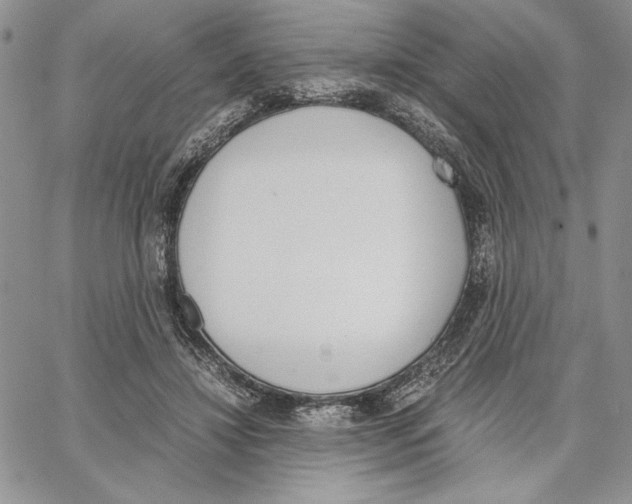 X0000062870452200602031721