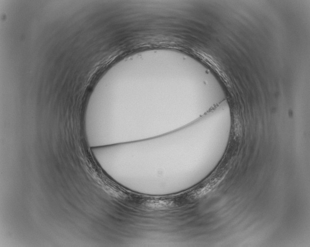 X0000062870453200602031721