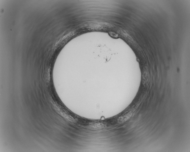 X0000062870454200602031721