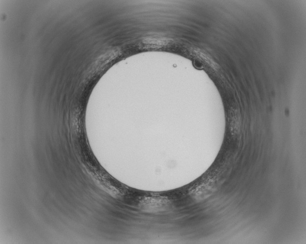 X0000062870455200602031721