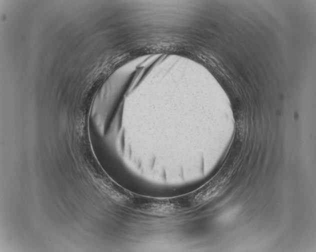 X0000062870458200602031721