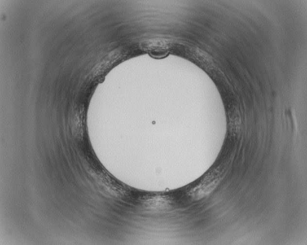 X0000062870460200602031721