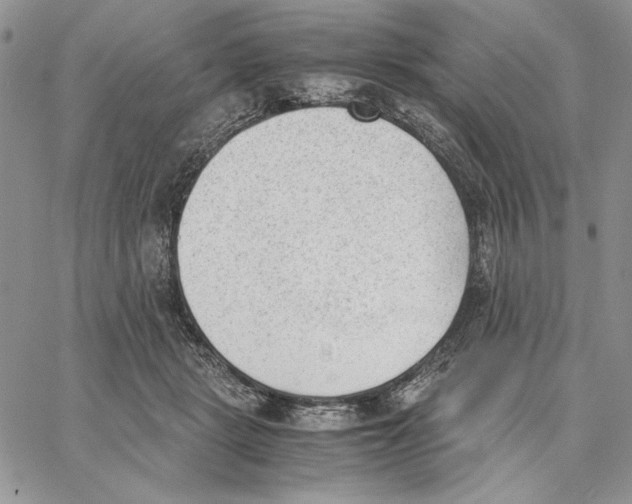 X0000062870461200602031721